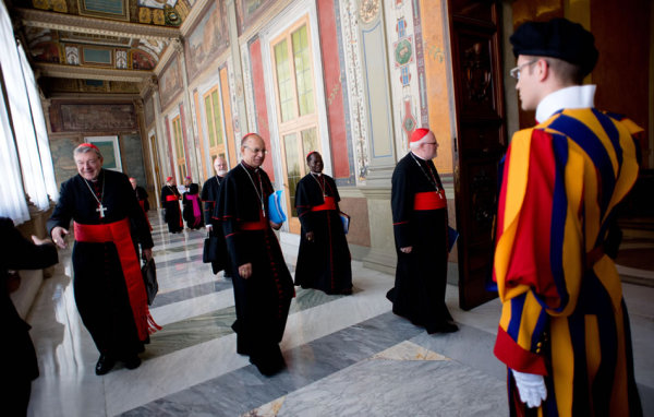 Cardenales del Consejo del papa Francisco