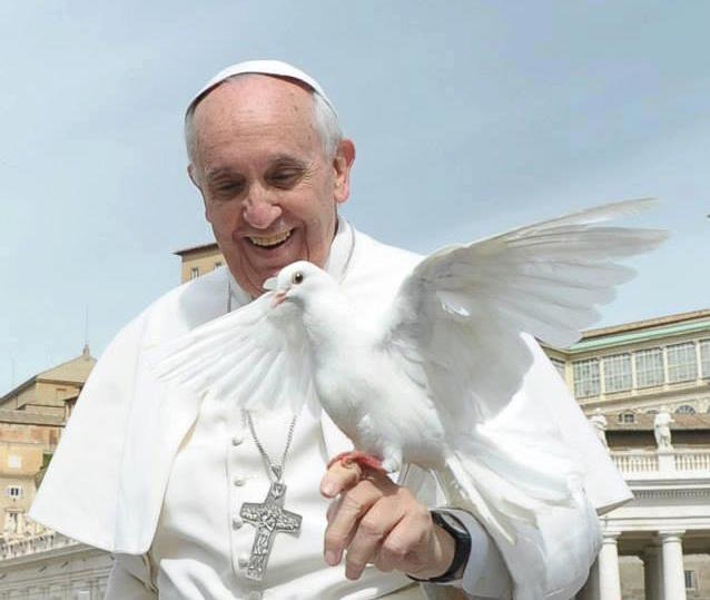 El Papa Francisco con una paloma.